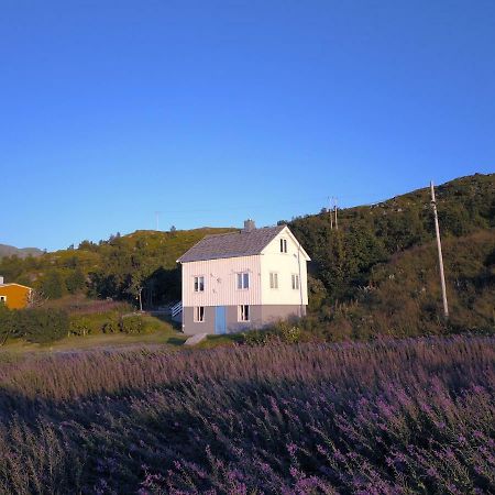 Steinbakk - Vestresand Lofoten Bostad Zewnętrze zdjęcie
